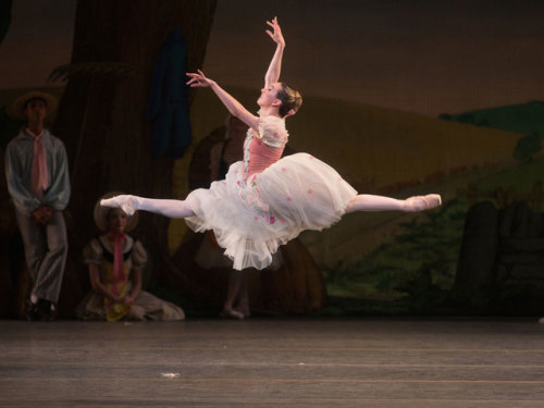 Isabella Boylston in La Fille mal gardée, American Ballet Theatre, May 2016. © Rosalie O’Connor.What