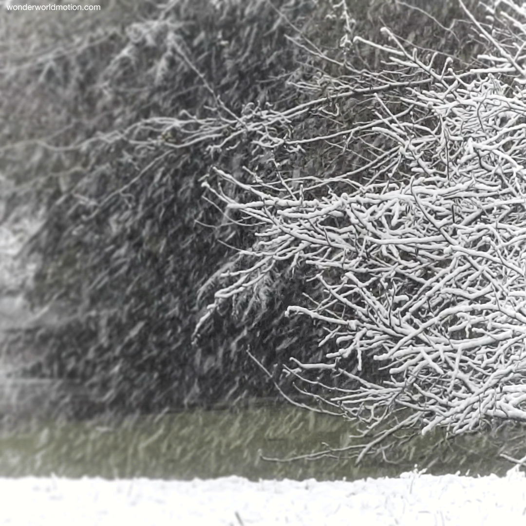 f5e95629601da6bfe7f39f410238b13ef93755ed.gifv