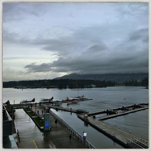 coal harbour