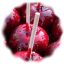 edens-apples