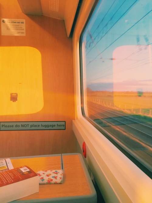 elricity:train aesthetic