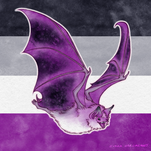 enbees-and-aros:evara-hargreaves:I made some pride bats, enjoy! ️‍[ID: Digital art of bats in va