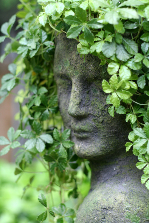 itscolossal:  Y’know, plant hair. 