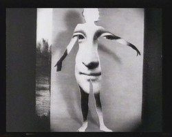 inneroptics:    stan vanderbeek.   