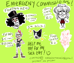natashadrawsthings:  OK friends! Here are my prices. I bumped them up a bit because well, I actually have to make quite a bit of money here! SO. My cat Seymour has been sick for the past few days and the vets haven’t been able to find anything really