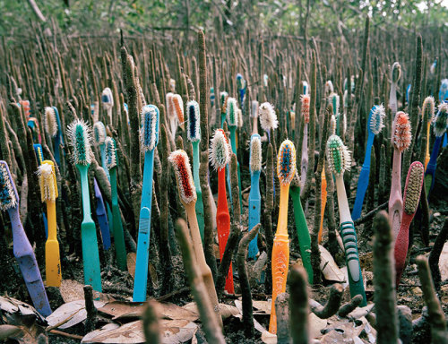 One Man’s Trash…These beautiful, non-sustainable art installations were made possible b