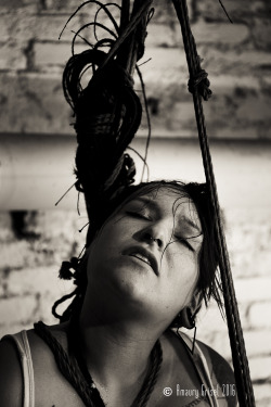 amaury-grisel-shibari:  I had a lot of fun