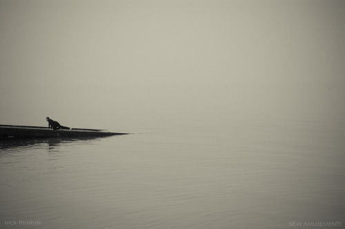 newamusements: Man on the slipway Whitstable