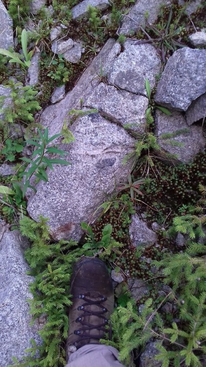 geologyedinburgh:White-Nepheline Syenite quarry in Harghita, Romania. It was abandoned in the 90s.