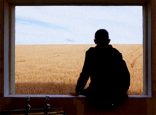 sandraoh:RATCATCHER — 1999dir. Lynne Ramsay