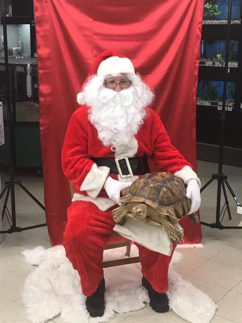 My dad was Santa at our local Petsmart, was not expecting this via /r/funny ift.tt/2Qx5NiR