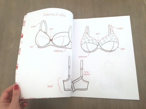 Bra Fitting for Everyone | An Illustrated Guide to Bras is now available in hard copy! www.b