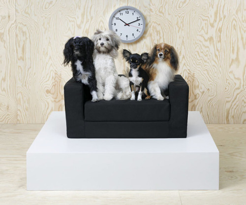 sixpenceee:IKEA launched a collection of furniture specifically designed for pets as part of a new r