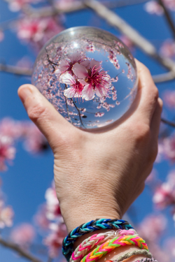 plasmatics:  Spring time into my crystal