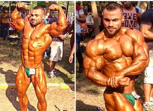 drwannabe:  Galal Zakaria 