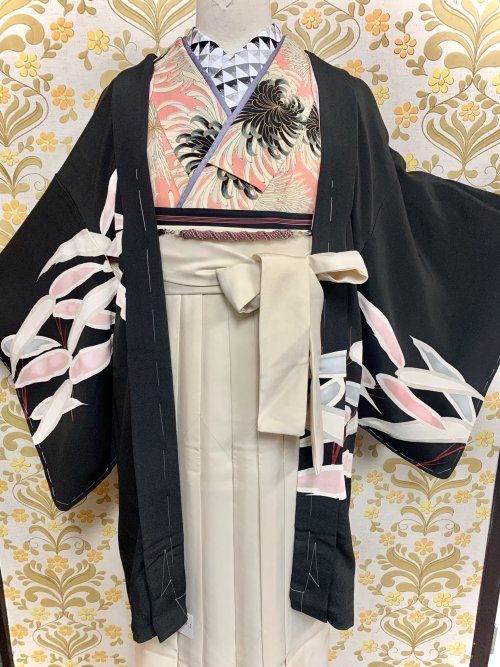 Chic hakama outfit pairing pinks and more neutral tones, featuring a kiku (chrysanthemums) kimono, w