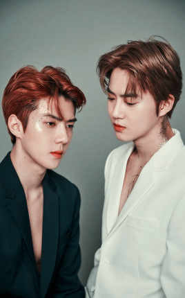 ohsehuns:EXO 2019 Season’s Greetings