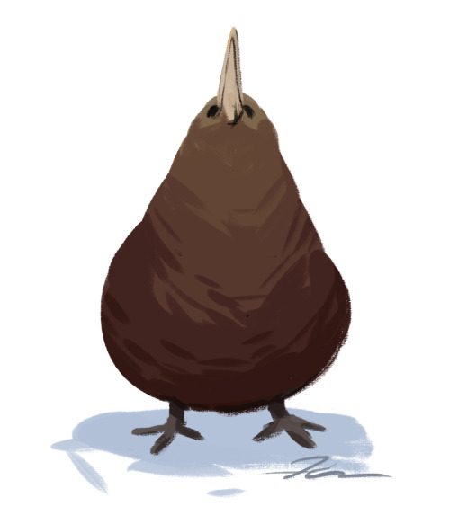 Hairy Kiwi Boisfor FAT Bird Friday(Transparent Vers. on my Patreon!)