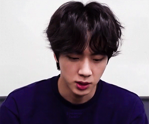 1/100 Days Of Kim Seokjin