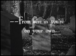 Morbid Beauty