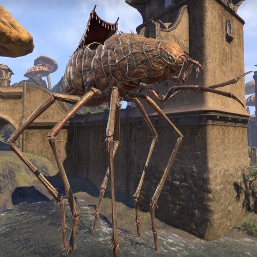 A silt strider in eso