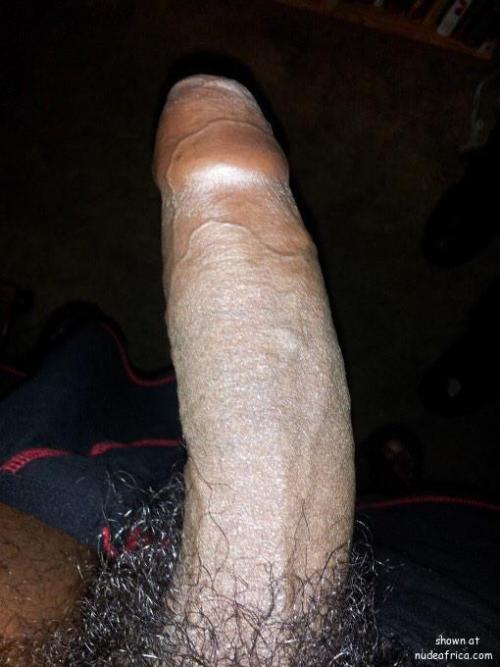 blkbos