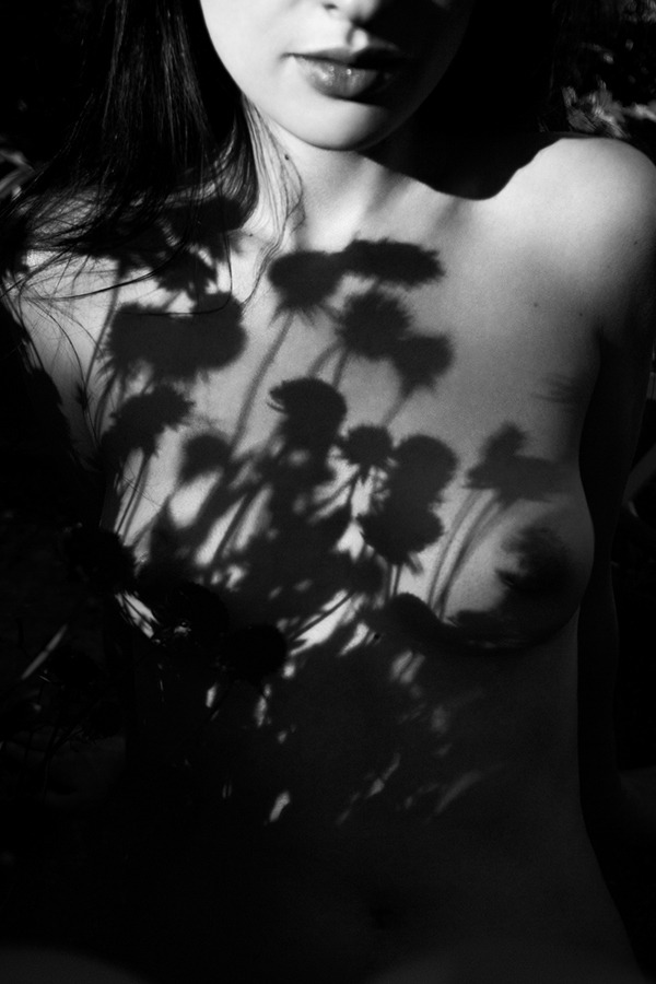 artizan3:  flowers_4_by_estetmf-