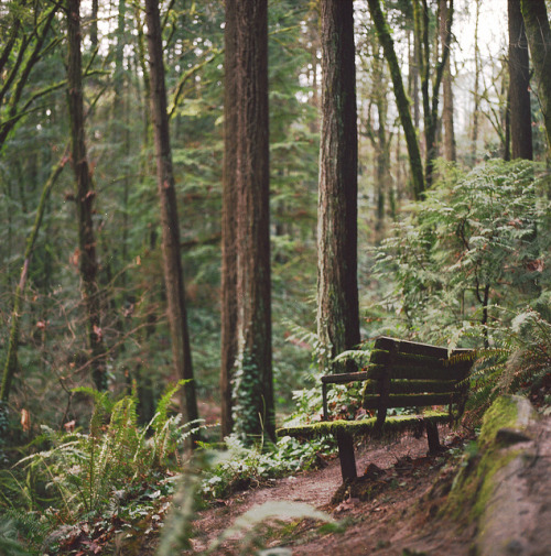brutalgeneration:marquam park. by Saria Dy on Flickr.