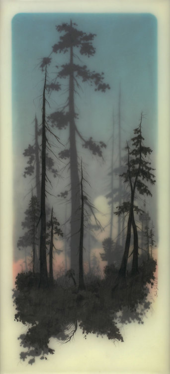 inland-delta:  Artist:Brooks Salzwedel