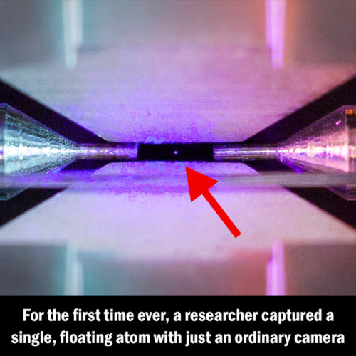 asapscience:Using long exposure on his camera, PhD candidate David Nadlinger took a photo of an atom