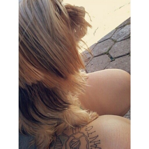 E esse pelo melhor q meu cabelo? <3 kkkk #bomdia #dogstagram #loveanimals #tattoo #me