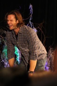 valalecki:  Jared “Oops I Dropped My Mic” Padalecki - Chicon 2013 