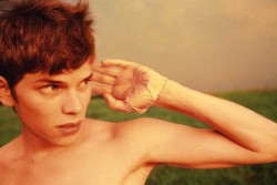 picaet:  ryan mcginley