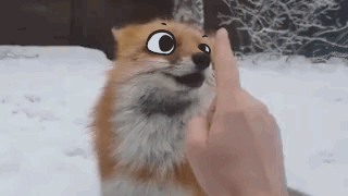 My First Boop @winryrockbellwannabe 
