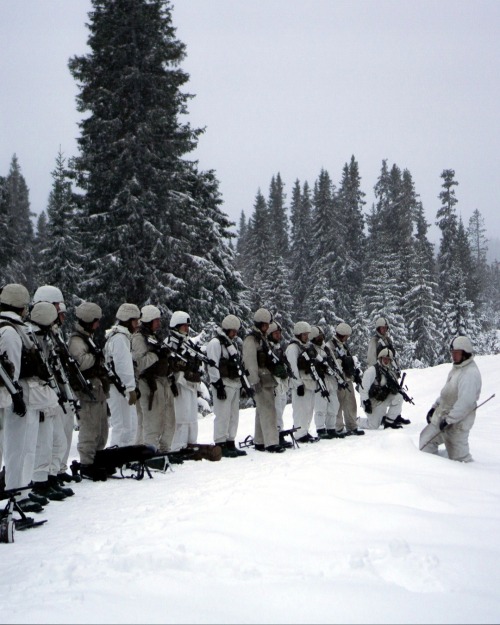 Swedish K4 regiment (Norrland Dragoon Regiment).