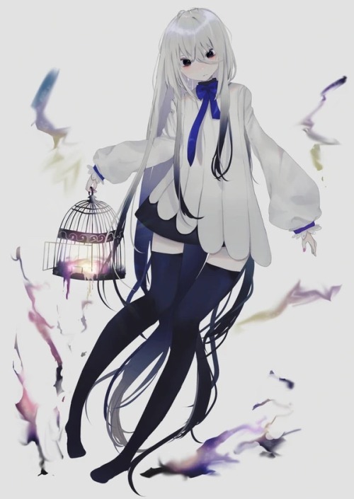おうち おうち