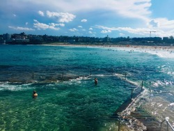 peachypalm:  Bondi yesterday. Instagram: maceyanderson