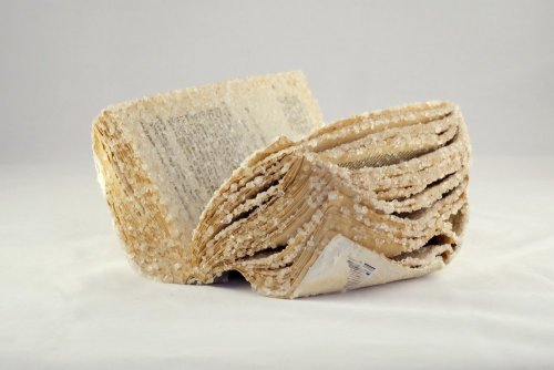 itscolossal:Books, Magazines and Computer Manuals Turned Into Crystallized Sculptures by Alexis Arno