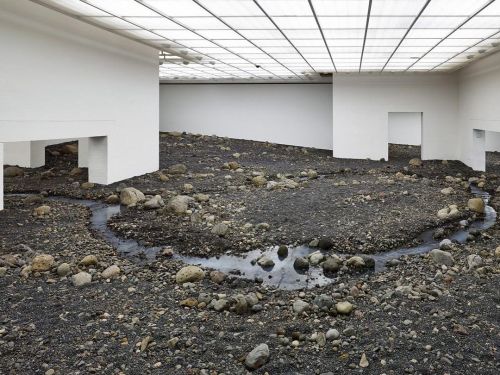 disease:riverbed by olafur eliasson (2014)this