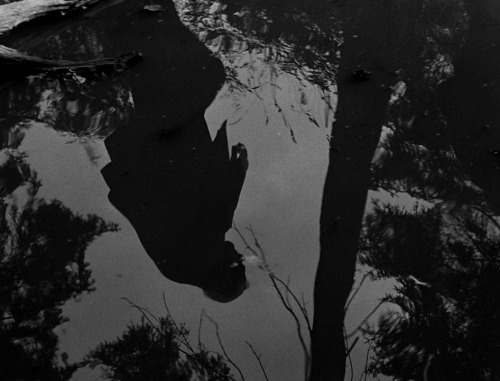 Porn la-cineaste:Wild Strawberries (1957)Ingmar photos