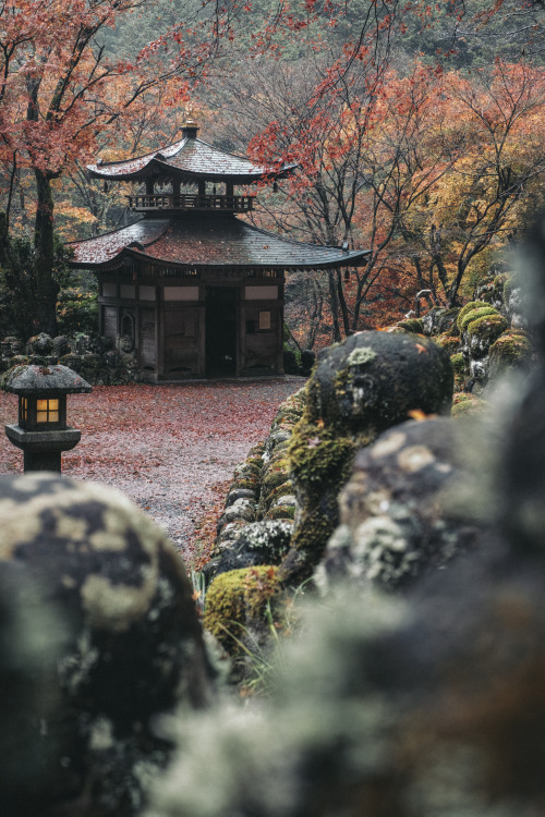 Late Autumn Scenery撮影日から間はあきつつ晩秋の愛宕念仏寺。あたご と書いて おたぎ と読みます。なぜかは説明できませんけど。 #京都 #嵯峨野 #愛宕念仏寺 #FUJIFILM #