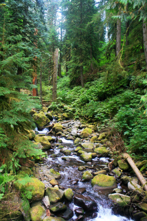 bright-witch: ◈ Pacific Northwest photography by Michelle N.W. ◈ ◈ Print Shop ◈◈ Please do not delet