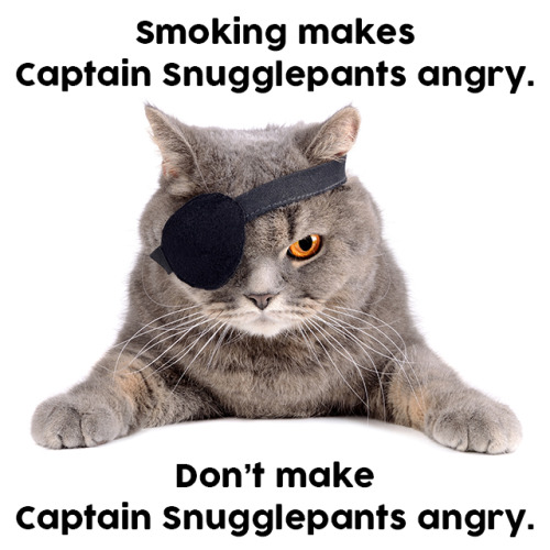 caprisunsport:knowtherealcost:Never upset a cat with an eyepatch.I wish I was dead