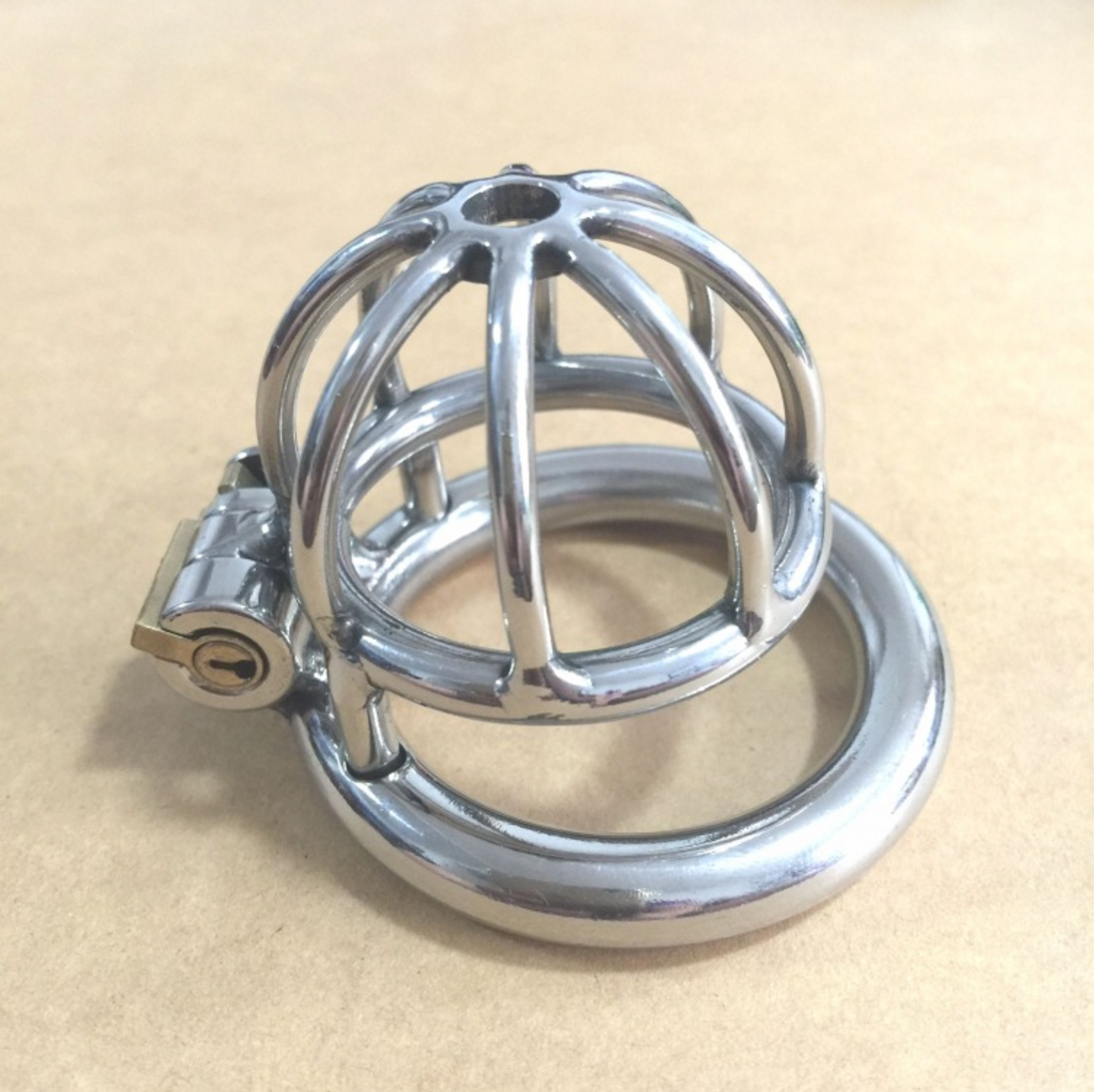 lockedndenied:  As a birthday present to myself, I have just purchased this cage.