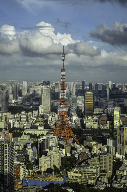 inefekt69:Tokyo Tower from Mori Tower - Roppongi, Tokyo by inefekt69