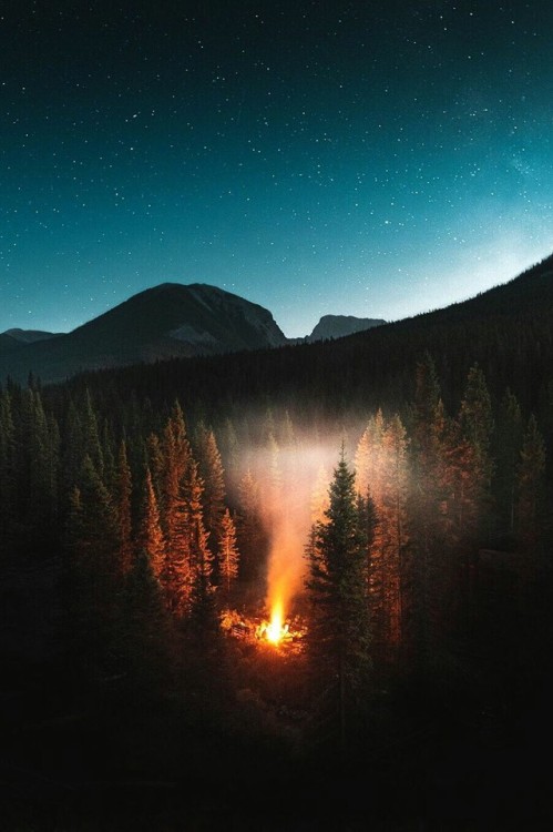 j-k-i-ng:“Untitled“ by | Norbert von Niman