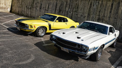 ford-mustang-generation:  1969 Shelby GT350