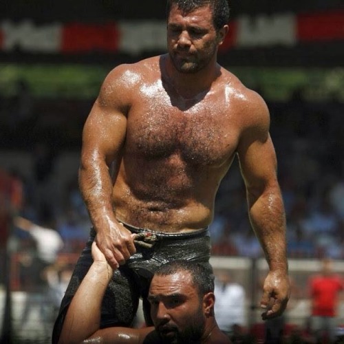  My two hairy men blogs: http://sambrcln.tumblr.com/archive http://hairysex.tumblr.com/archive
