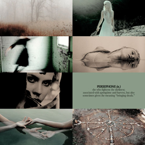 greywaren:fox way (n.) /fäks∙wā/ 1. residential street in Henrietta, Virginia; home to a variety of 