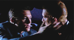 I Love You Stupid